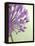 Purple Haze 6-Doug Chinnery-Framed Premier Image Canvas