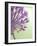 Purple Haze 6-Doug Chinnery-Framed Photographic Print