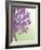 Purple Haze 6-Doug Chinnery-Framed Photographic Print