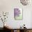 Purple Haze 6-Doug Chinnery-Photographic Print displayed on a wall
