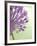 Purple Haze 6-Doug Chinnery-Framed Photographic Print