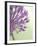 Purple Haze 6-Doug Chinnery-Framed Photographic Print