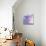 Purple Haze II-Chris Paschke-Art Print displayed on a wall