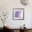Purple Haze II-Chris Paschke-Framed Art Print displayed on a wall