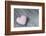 Purple Heart on Wood-Andrea Haase-Framed Photographic Print