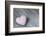 Purple Heart on Wood-Andrea Haase-Framed Photographic Print