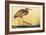 Purple Heron - Strut-Staffan Widstrand-Framed Giclee Print