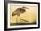 Purple Heron - Strut-Staffan Widstrand-Framed Giclee Print