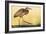 Purple Heron - Strut-Staffan Widstrand-Framed Giclee Print