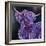 Purple Highland-Emma Catherine Debs-Framed Art Print