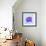 Purple Hippo-null-Framed Giclee Print displayed on a wall