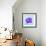 Purple Hippo-null-Framed Giclee Print displayed on a wall