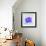 Purple Hippo-null-Framed Giclee Print displayed on a wall