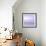 Purple Horizon-Doug Chinnery-Framed Photographic Print displayed on a wall