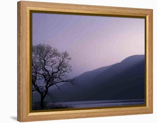 Purple Hours-Philippe Sainte-Laudy-Framed Premier Image Canvas