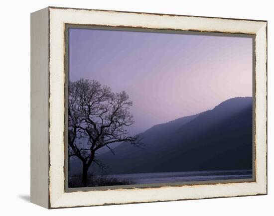 Purple Hours-Philippe Sainte-Laudy-Framed Premier Image Canvas