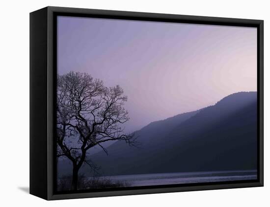 Purple Hours-Philippe Sainte-Laudy-Framed Premier Image Canvas