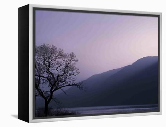 Purple Hours-Philippe Sainte-Laudy-Framed Premier Image Canvas