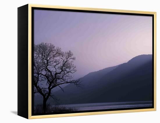 Purple Hours-Philippe Sainte-Laudy-Framed Premier Image Canvas