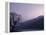 Purple Hours-Philippe Sainte-Laudy-Framed Premier Image Canvas