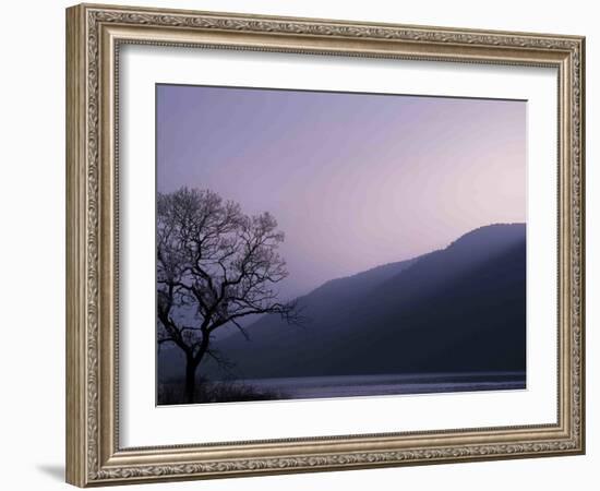 Purple Hours-Philippe Sainte-Laudy-Framed Photographic Print