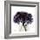 Purple Hydrangea Close Up-Albert Koetsier-Framed Art Print