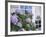 Purple Hydrangea in Front of Glass Window-null-Framed Photographic Print