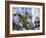 Purple Hydrangea in Front of Glass Window-null-Framed Photographic Print