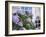 Purple Hydrangea in Front of Glass Window-null-Framed Photographic Print