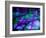 Purple Ice-Ruth Palmer 2-Framed Art Print