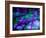 Purple Ice-Ruth Palmer 2-Framed Art Print