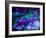 Purple Ice-Ruth Palmer 2-Framed Art Print