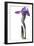 Purple Iris I-Monika Burkhart-Framed Photographic Print