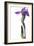 Purple Iris I-Monika Burkhart-Framed Photographic Print