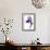 Purple Iris II-Monika Burkhart-Framed Photographic Print displayed on a wall