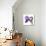 Purple Iris III-Monika Burkhart-Framed Premier Image Canvas displayed on a wall