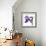 Purple Iris III-Monika Burkhart-Framed Photographic Print displayed on a wall