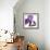 Purple Iris IV-Monika Burkhart-Framed Photographic Print displayed on a wall