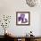 Purple Iris IV-Monika Burkhart-Framed Photographic Print displayed on a wall