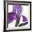 Purple Iris IV-Monika Burkhart-Framed Photographic Print