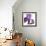 Purple Iris IV-Monika Burkhart-Framed Photographic Print displayed on a wall