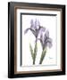 Purple Iris-Albert Koetsier-Framed Art Print