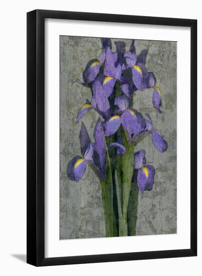 Purple Iris-John Seba-Framed Premium Giclee Print