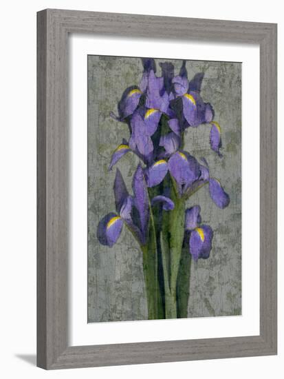 Purple Iris-John Seba-Framed Art Print