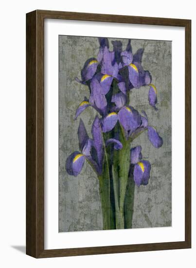 Purple Iris-John Seba-Framed Art Print