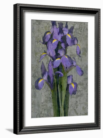 Purple Iris-John Seba-Framed Art Print