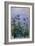 Purple Irises, 1914-17-Claude Monet-Framed Giclee Print