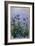 Purple Irises, 1914-17-Claude Monet-Framed Giclee Print