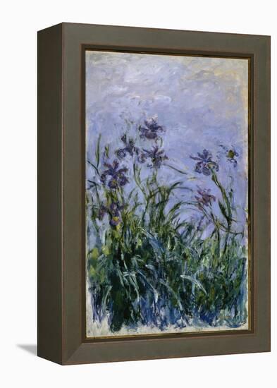 Purple Irises, 1914-17-Claude Monet-Framed Premier Image Canvas