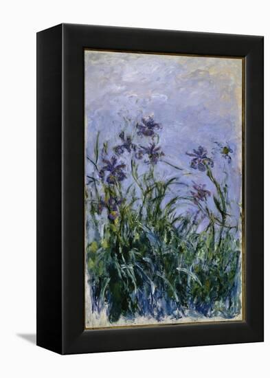 Purple Irises, 1914-17-Claude Monet-Framed Premier Image Canvas